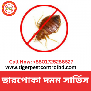 bed bugs control services