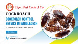 Pest control in Gulshan
