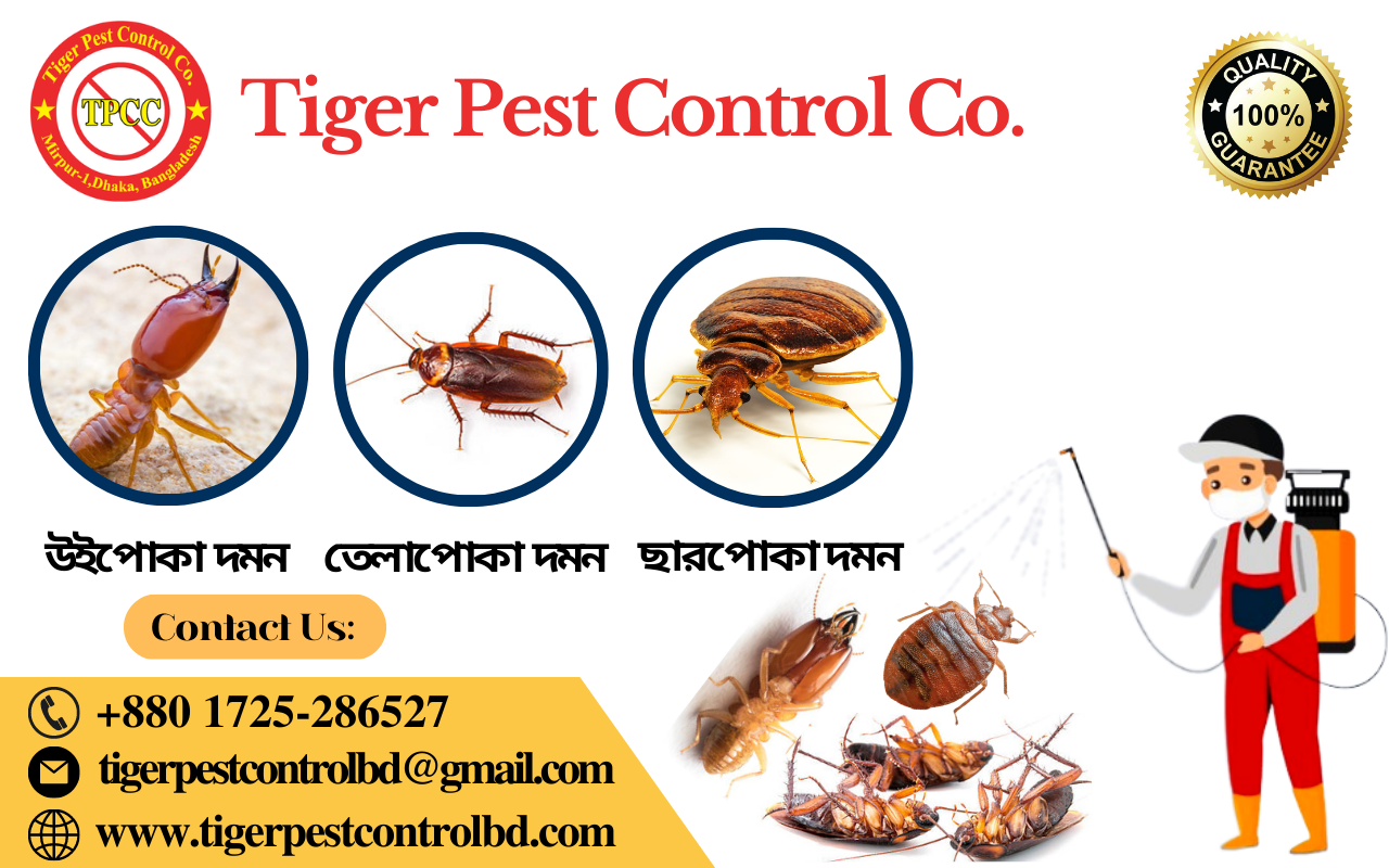 Pest control in Gulshan 