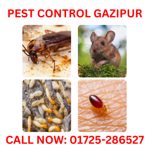 Pest Control in Gazipur
