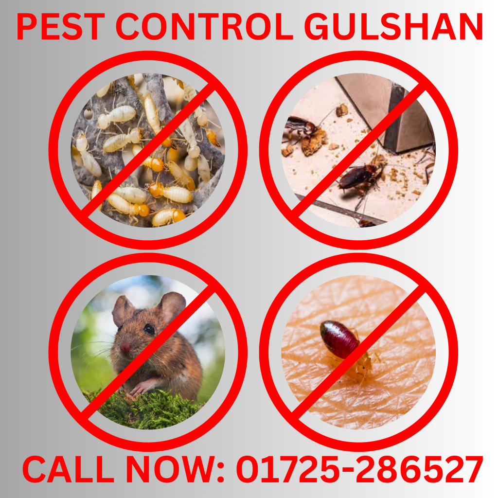 Pest Control Gulshan